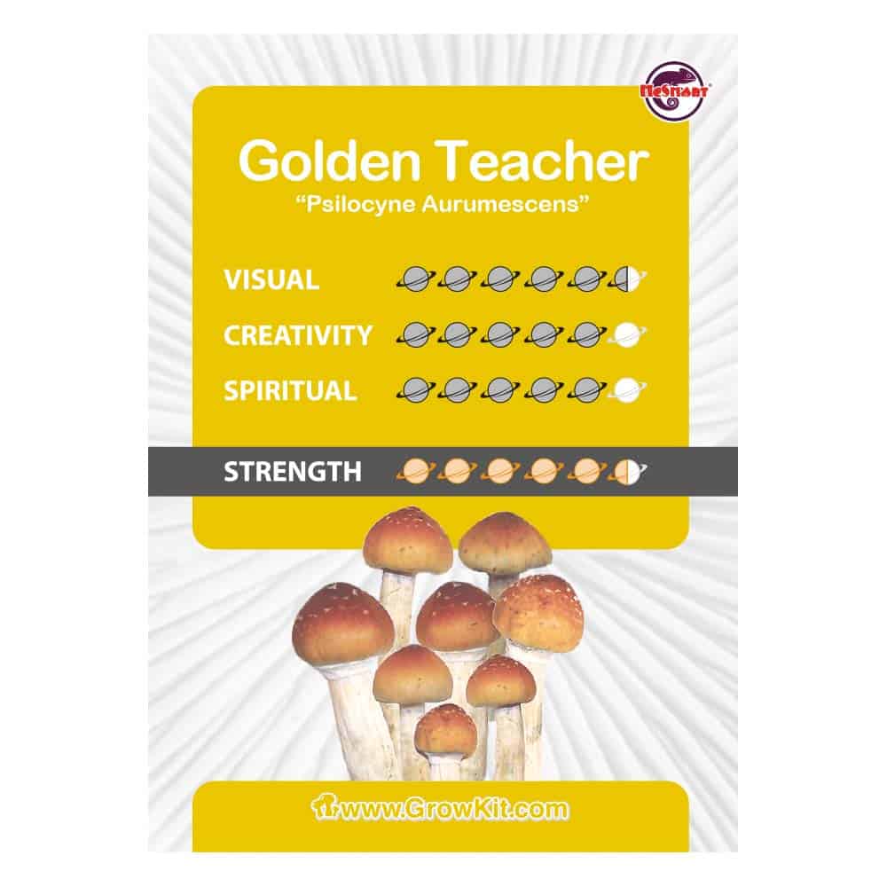 Golden-Teacher-Growkit-card-1.jpeg