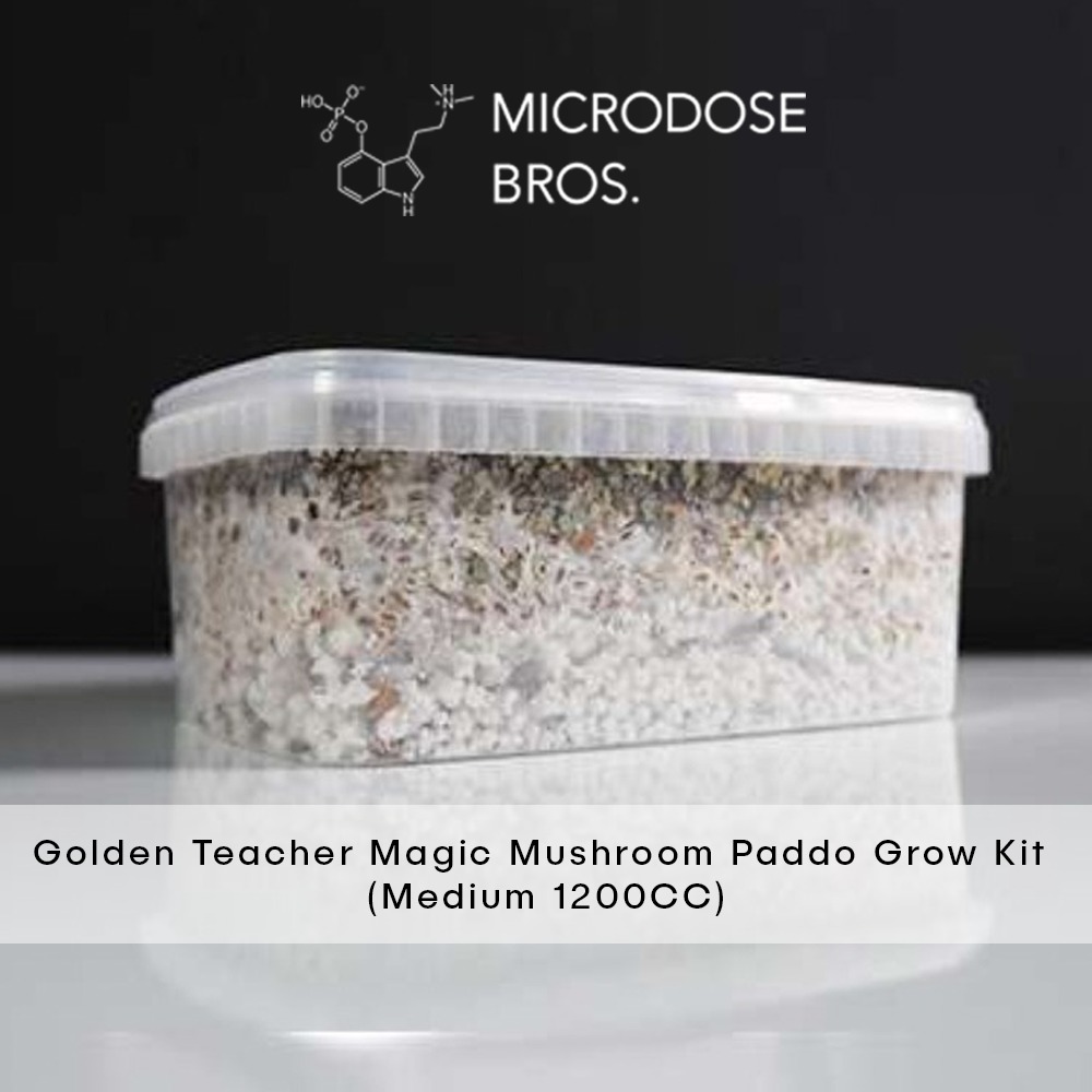 Golden-Teacher-Magic-Mushroom-Paddo-Grow-Kit-1.jpg