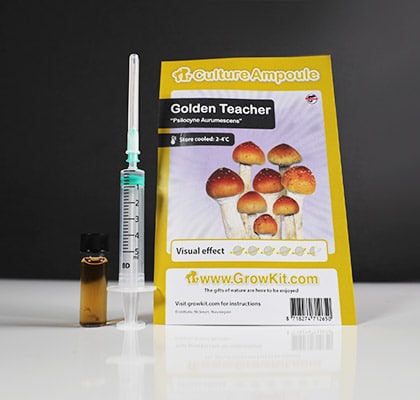 Golden-Teacher-Mushroom-Spore.jpeg
