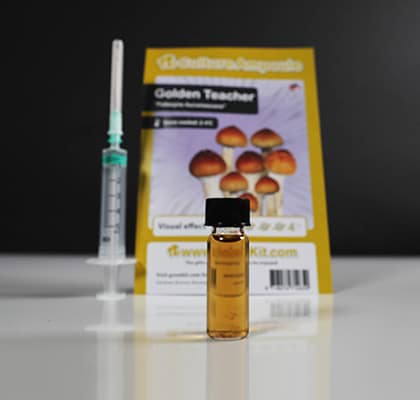 Golden-Teacher-Mushroom-Spores.jpeg