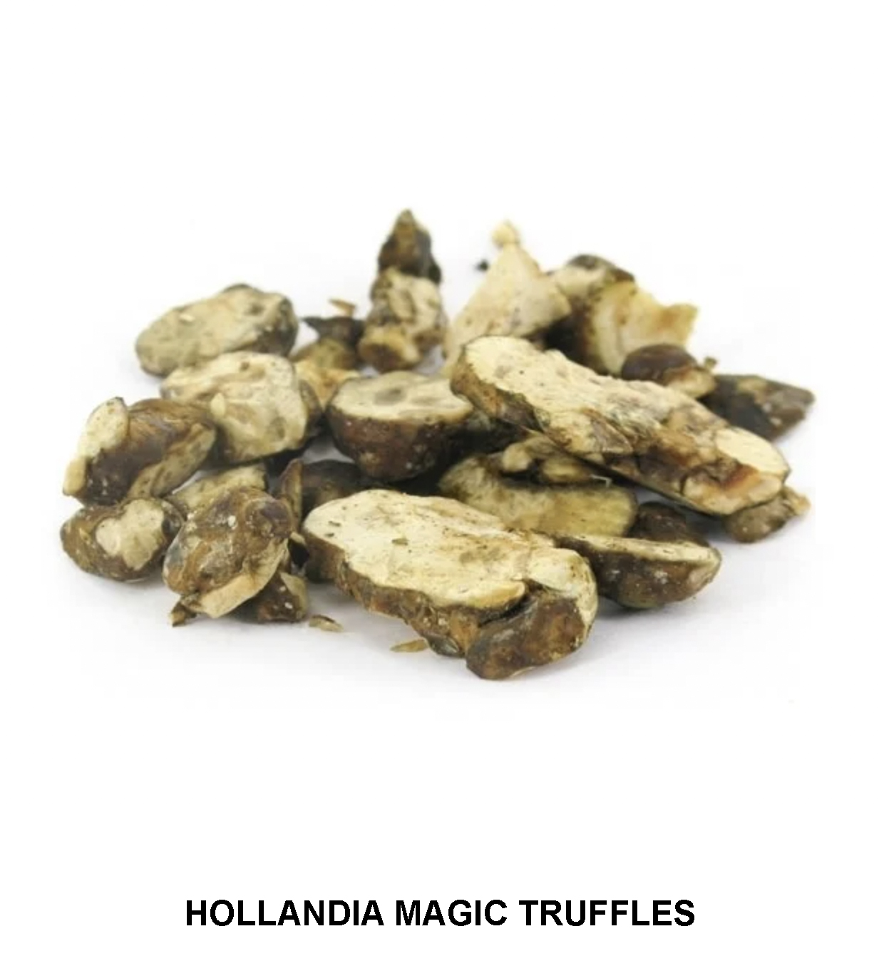 HOLLANDIA-MAGIC-TRUFFLES-5.jpg