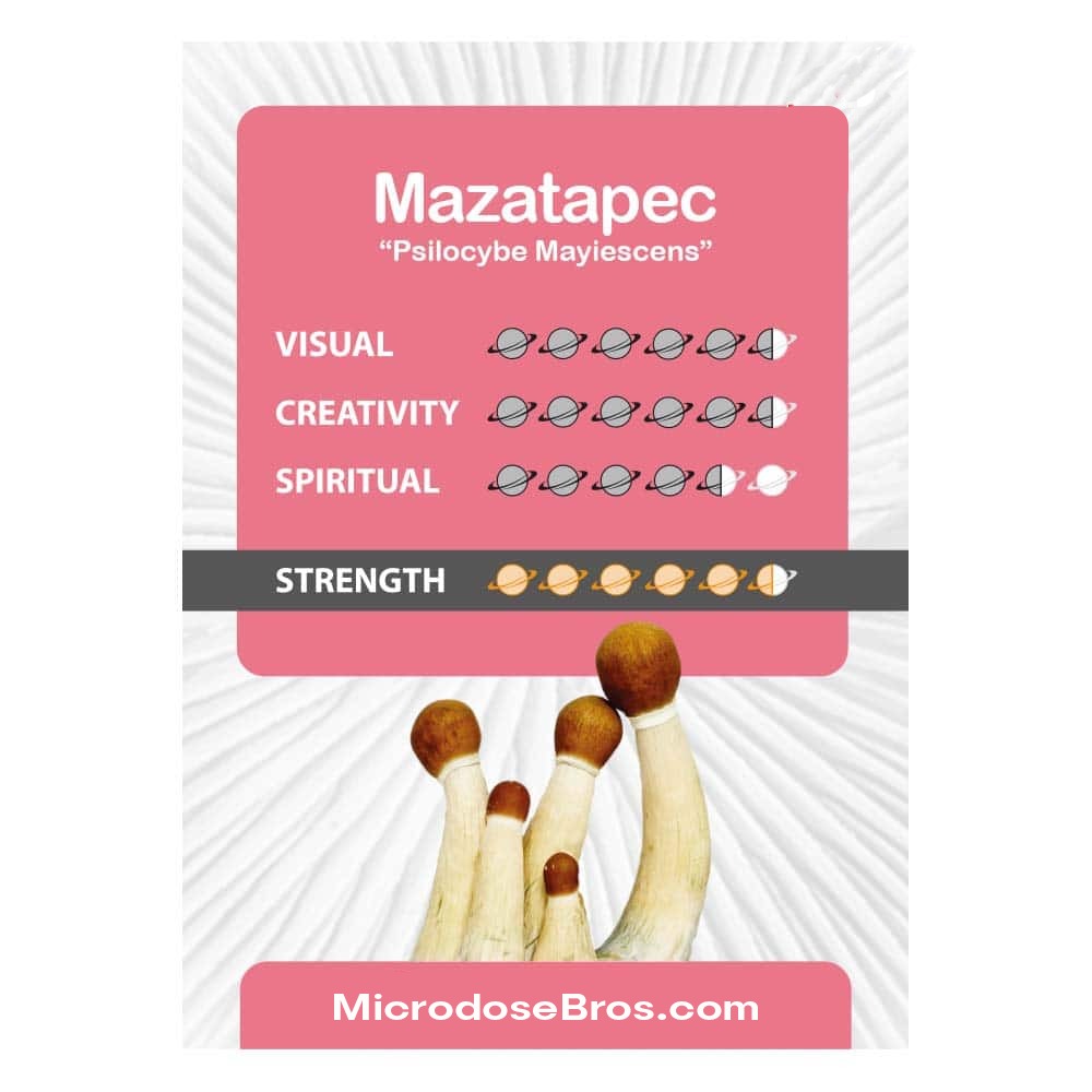 Mazatapec-Kit-1.jpeg