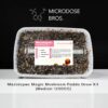 Mazatapec Magic Mushroom Grow Kit