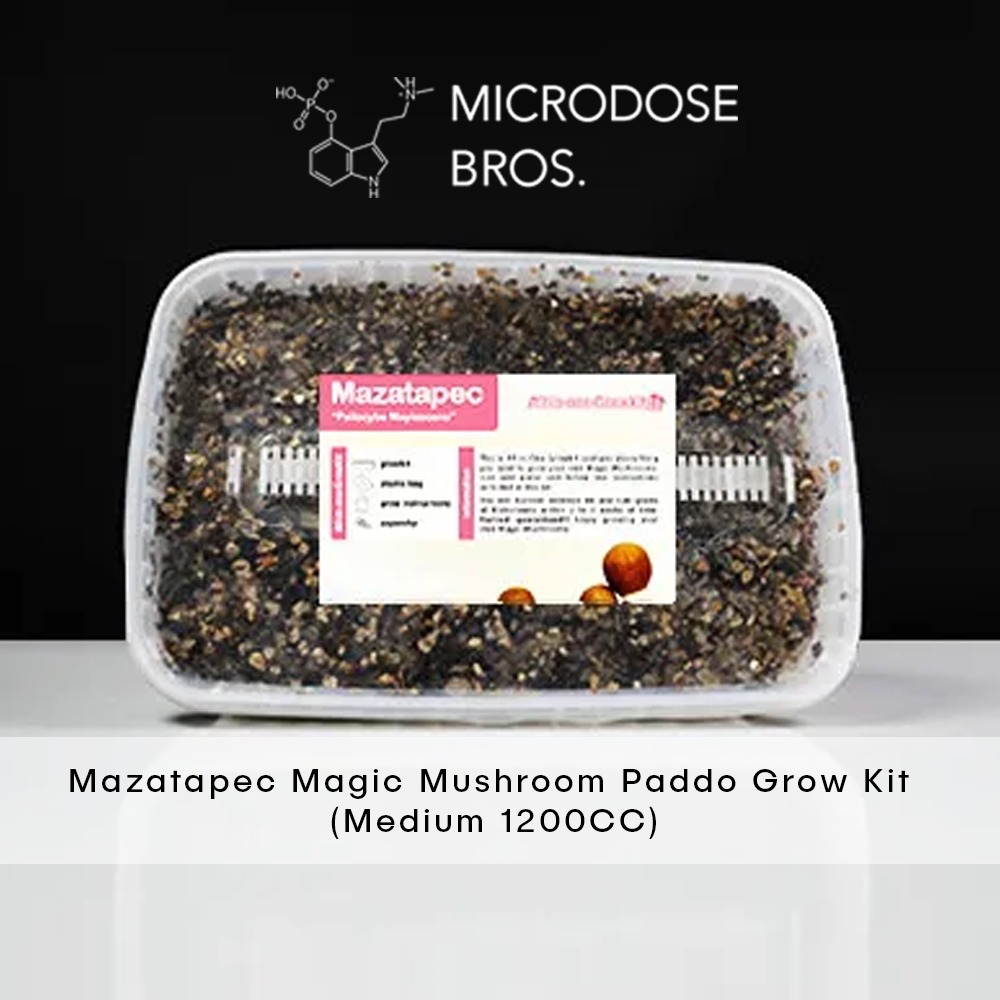 Mazatapec-Magic-Mushroom-Paddo-Grow-Kit-1.jpg Mazatapec Magic Mushroom Grow Kit