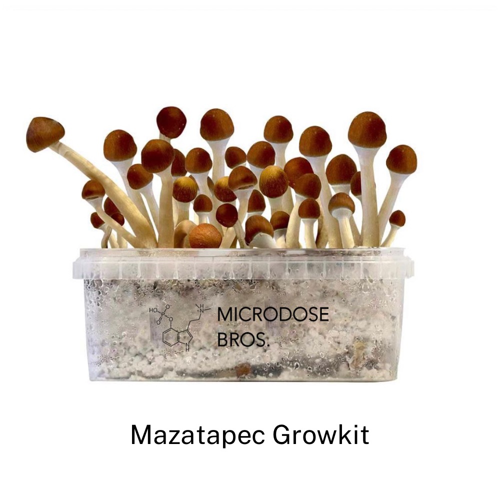 Mazatapec-grow-kit.jpg