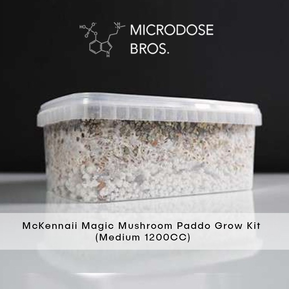 McKennaii-Magic-Mushroom-Paddo-Grow-Kit-2.jpg