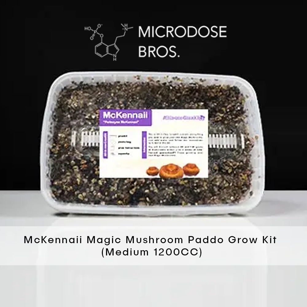 McKennaii-Magic-Mushroom-Paddo-Grow-Kit-4.jpg McKennaii Magic Mushroom