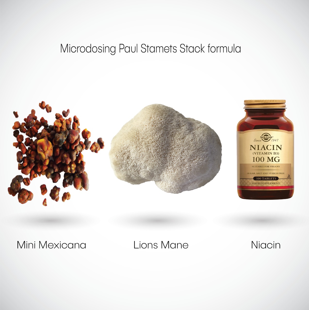 Paul-Stamets-Microdosing-Stack.jpg Paul Stamets Stack Formula