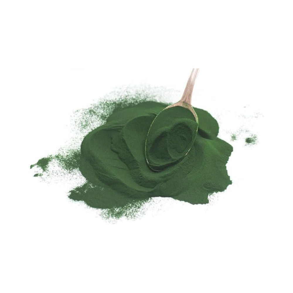 Spirulina-Organic-Powder-2.jpg