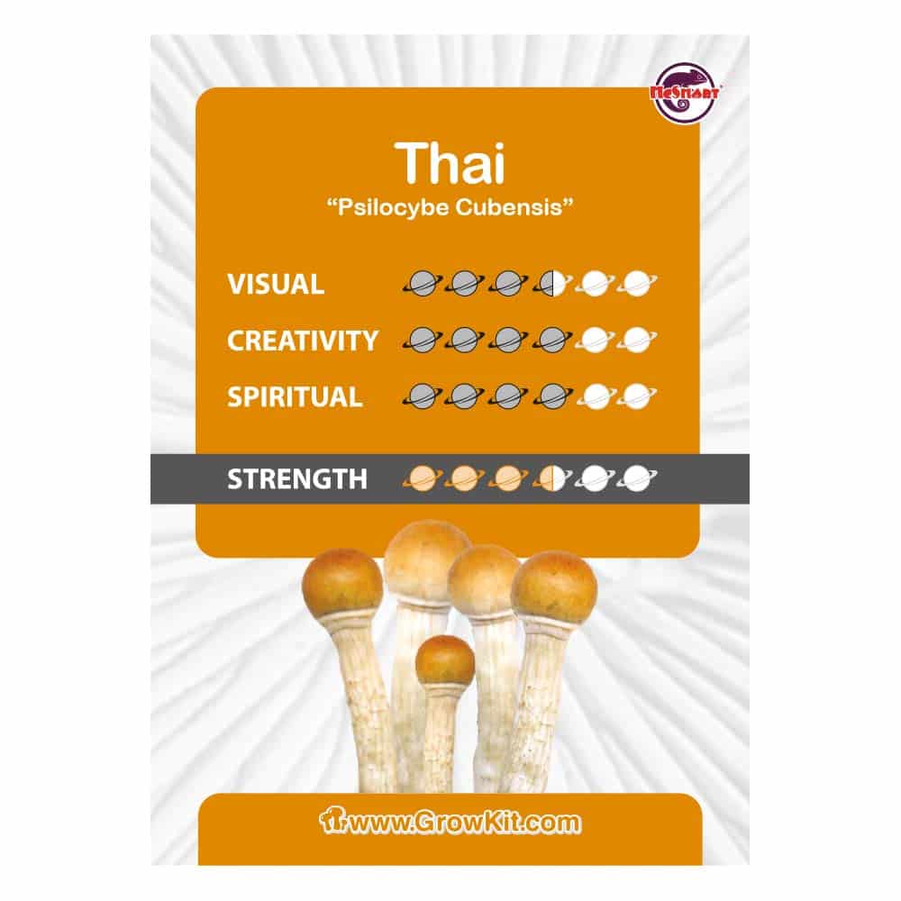 Thai-Growkit-card-1.jpeg