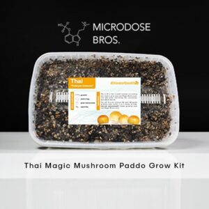 Thai Magic Mushroom Grow Kit - 1200 CC - Medium