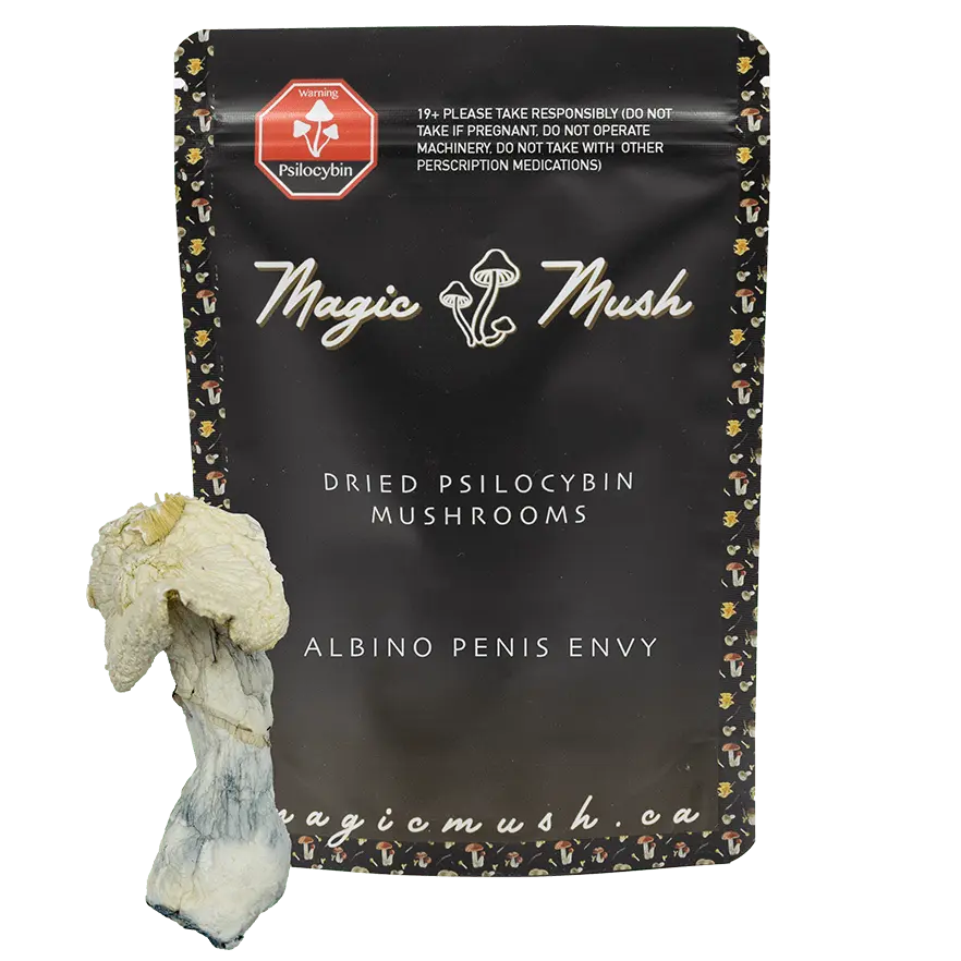 albino-penis-envy-min-with-shroom.webp Albino Penis Envy Magic Mushrooms