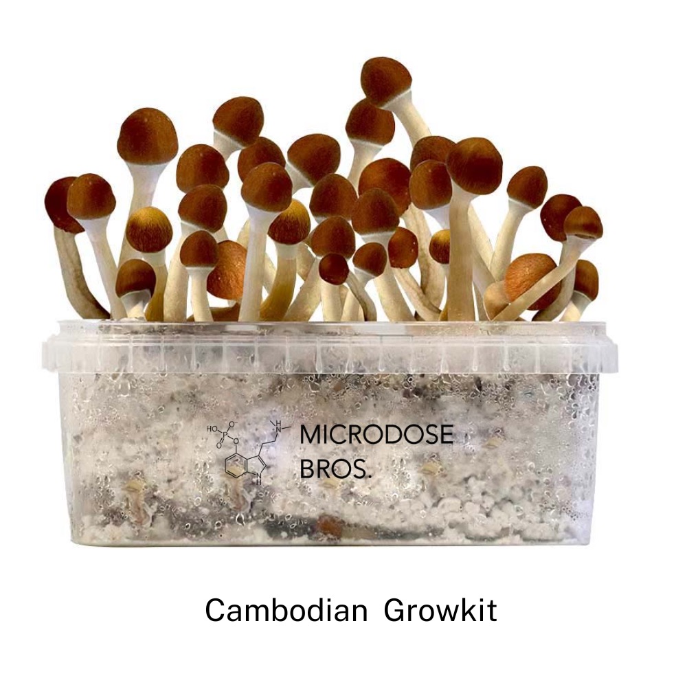 cambodian-grow-kit.jpg